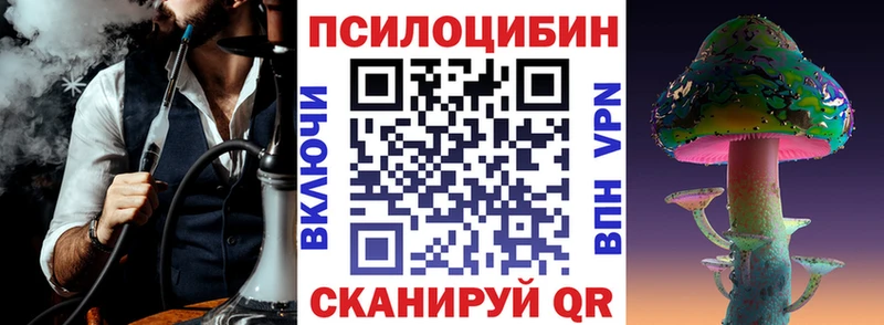 купить наркотики цена  Бокситогорск  Псилоцибиновые грибы прущие грибы 